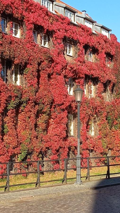 Апартаменты Garncarska6 Гданьск Экстерьер фото